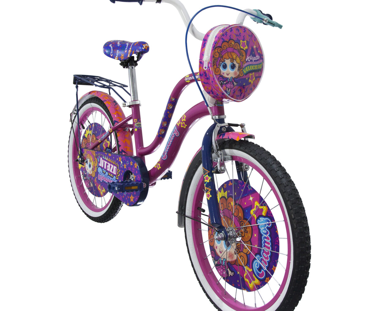 BICICLETA DISTROLLER CITY CHAMOY R20 1V - Image 3